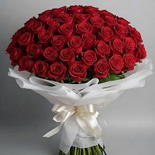 Букет 101 Красная роза Блэк Мэджик #REPLACE_PRED# Нефтеюганске