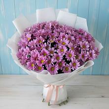 Букет цветов из:  Хризантемы в Нефтеюганске