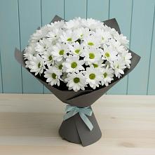 Букет цветов из:  Хризантемы в Нефтеюганске